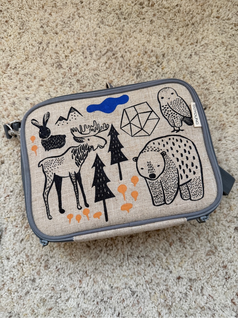 SoYoung Lunch Bag